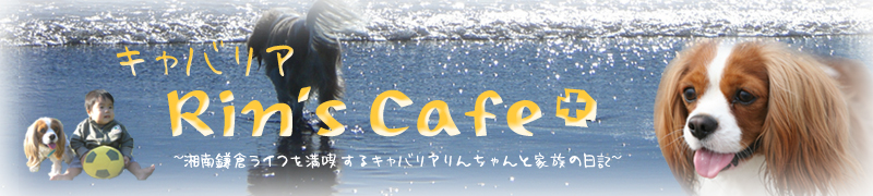キャバリア Rin's cafe+ TOPへ