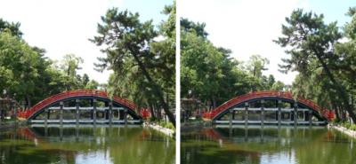 住吉大社 反橋(ソリバシ) 平行法3D立体写真