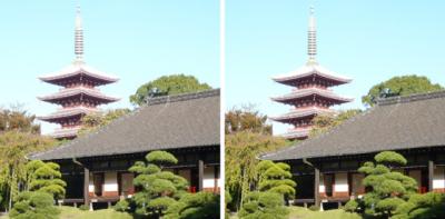 浅草寺 伝法院庭園から五重塔 平行法3Dステレオ写真