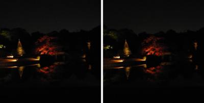 六義園　紅葉と大名庭園のライトアップ 平行法立体３D写真