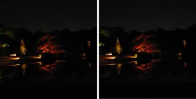 六義園　紅葉と大名庭園のライトアップ 交差法3Dステレオ写真