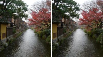 秋の祇園白川の紅葉(京都) 交差法立体視３D写真