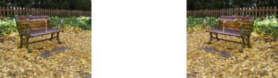 明治神宮外苑 ベンチと銀杏のじゅうたん ミラー法立体視３D写真