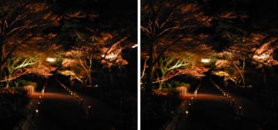 京都・嵐山 花灯路 二尊院 参道ライトアップ 平行法3D立体ステレオ写真