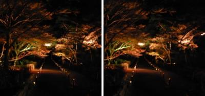 京都・嵐山 花灯路 二尊院 参道ライトアップ 交差法3D立体写真