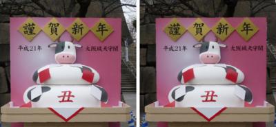 大阪城天守閣 鏡餅型牛オブジェ 平行法3Dステレオ写真