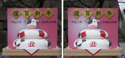 大阪城天守閣 鏡餅型牛オブジェ 交差法立体視３Ｄ写真