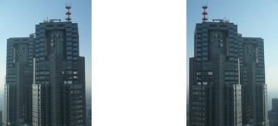 東京都庁の天辺 ミラー法3D立体ステレオ写真