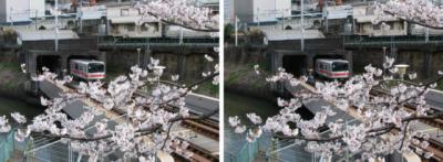 桜と地下鉄丸ノ内線と神田川(御茶ノ水) 平行法3Dステレオ立体写真