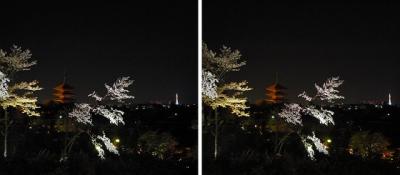 八坂の塔・京都タワーとライトアップされた桜 平行法3Dステレオ立体写真