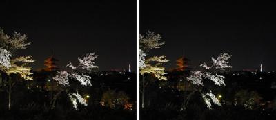 八坂の塔・京都タワーとライトアップされた桜 交差法ステレオ立体視３Ｄ写真