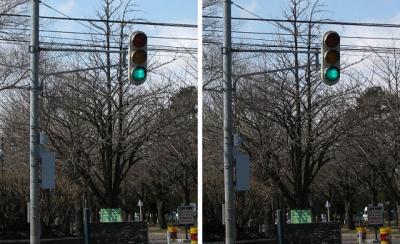 北海道の縦型信号機 交差法ステレオ立体視３Ｄ写真