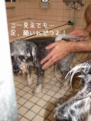 レノさん、入浴中～～♪