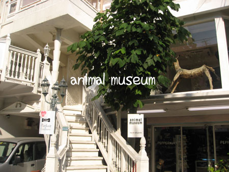 animal museum
