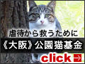 [大阪]公園猫基金