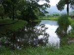 根古屋森林公園キャンプ場の近くの池