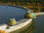 茨城県フラワーパークのカエルのオブジェ