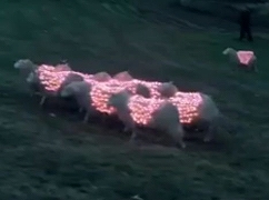 LED電飾羊の芸術　Extreme Sheep LED Art