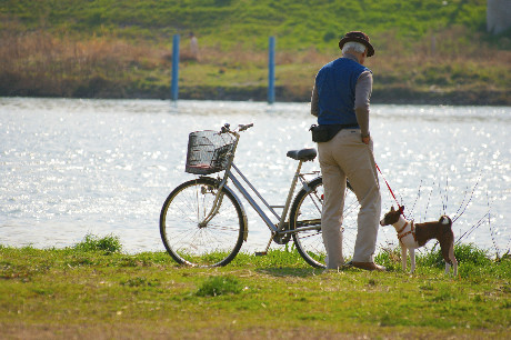 川辺の自転車