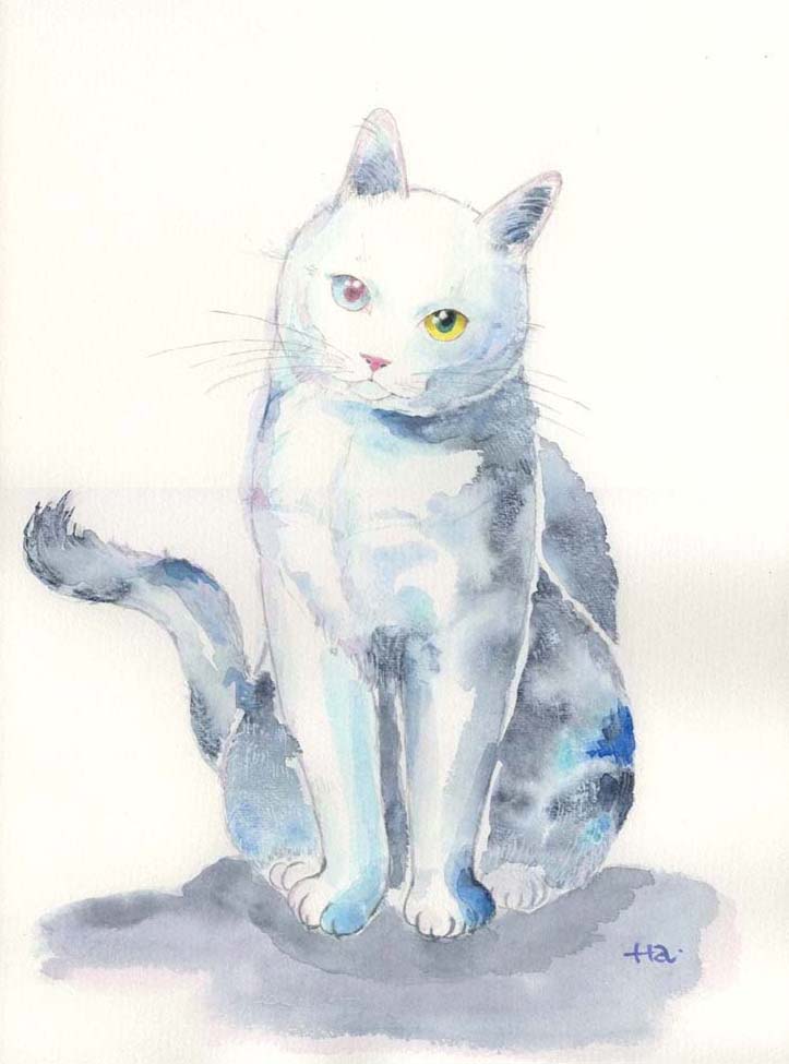 猫の絵を描く Com 白猫その3 猫の肖像画 透明水彩で描く
