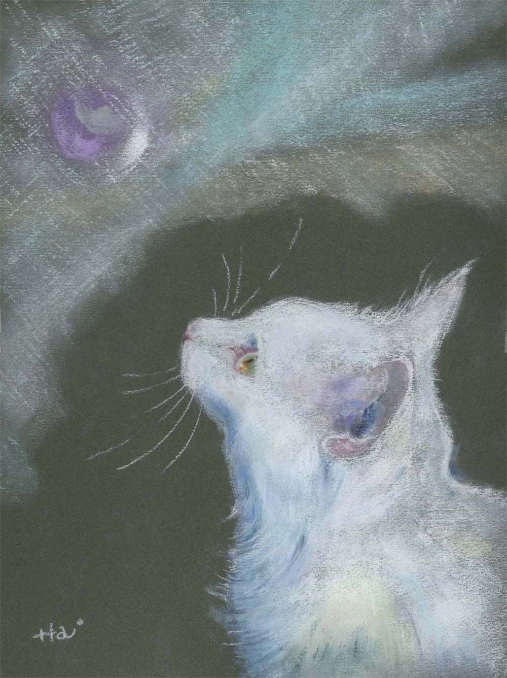 猫の絵を描く Com 白猫その4 パステルで猫の横顔を描く