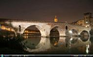 Verona bridgef60r