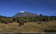 Kilimanjarof4.jpg