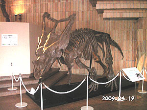 岩手県立博物館の恐竜