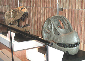 岩手県立博物館の恐竜