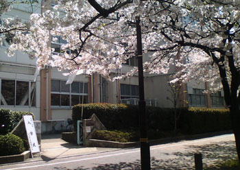東綾瀬中学校　入学式　2009