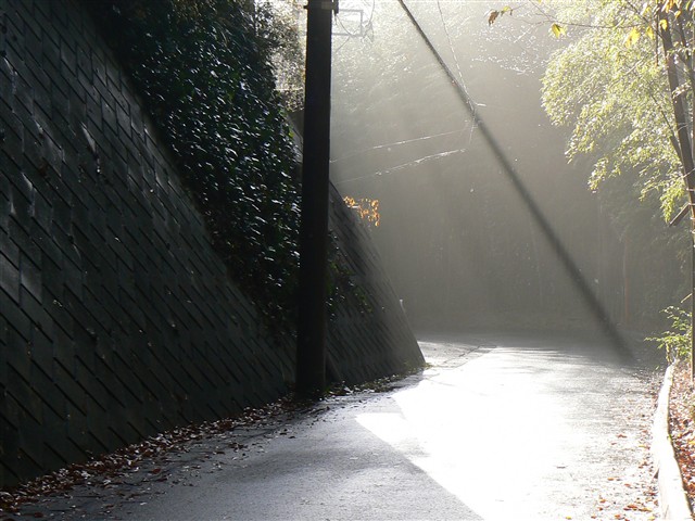 里山の道２