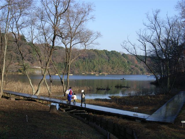 宮沢湖２