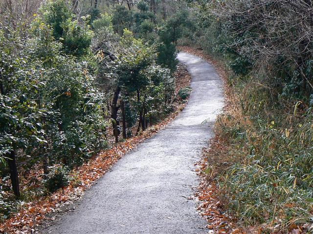 里山の道１