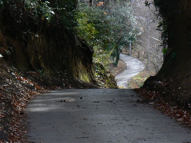 里山の道４