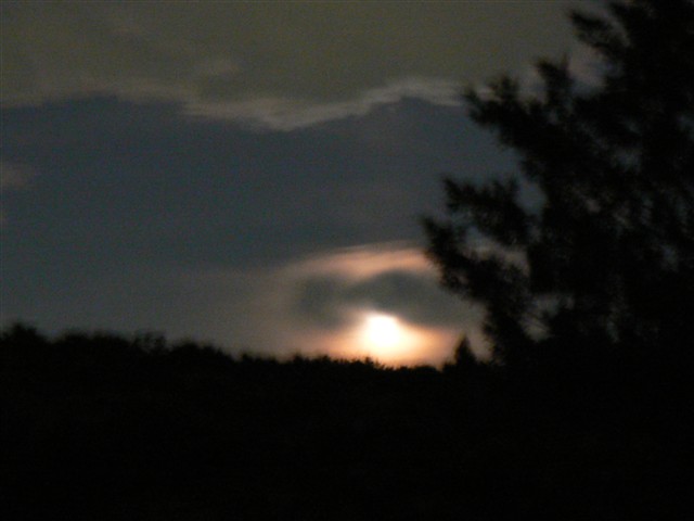 夜の月