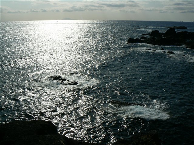 須崎付近の海１