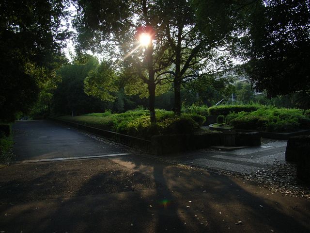 夕方の公園