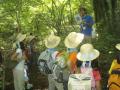 20080815-30夏キャン(山中野営場)森の訓練