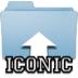 icn_Iconic
