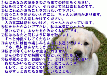 犬と私の10の約束 10 Promises To My Dog Japaneseclass Jp