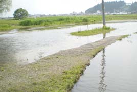 白龍湖の洪水