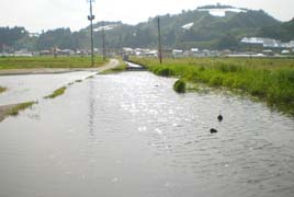 白龍湖の洪水