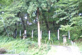 長谷堂城の入口坂