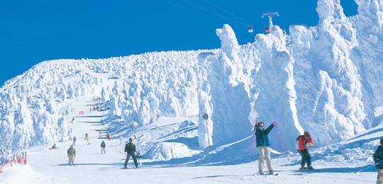 蔵王の樹氷とスキー場