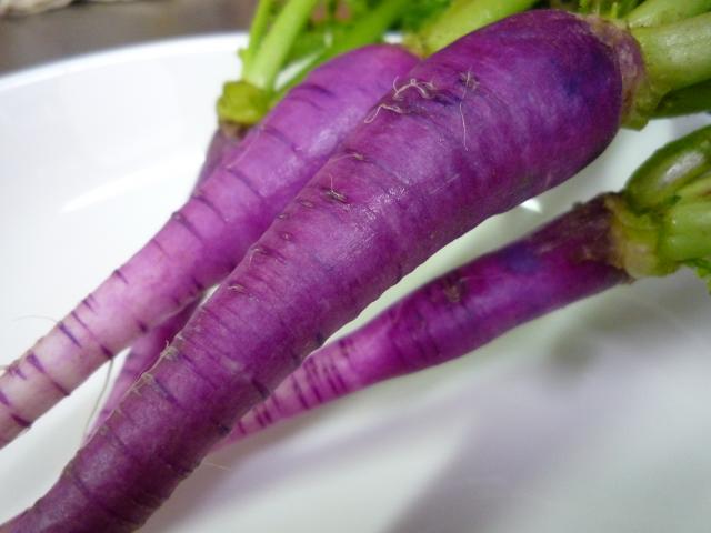 おいしく健康 新鮮野菜を極める 紫の大根 その名も ミラノ大根